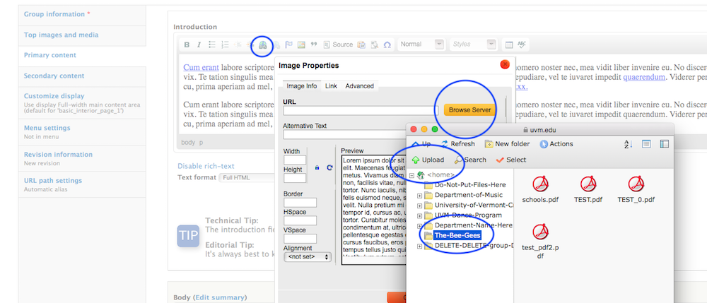 use link icon in tool bar, select browser server, navigate to the drupal group where you'll store your files. Then you can "upload"