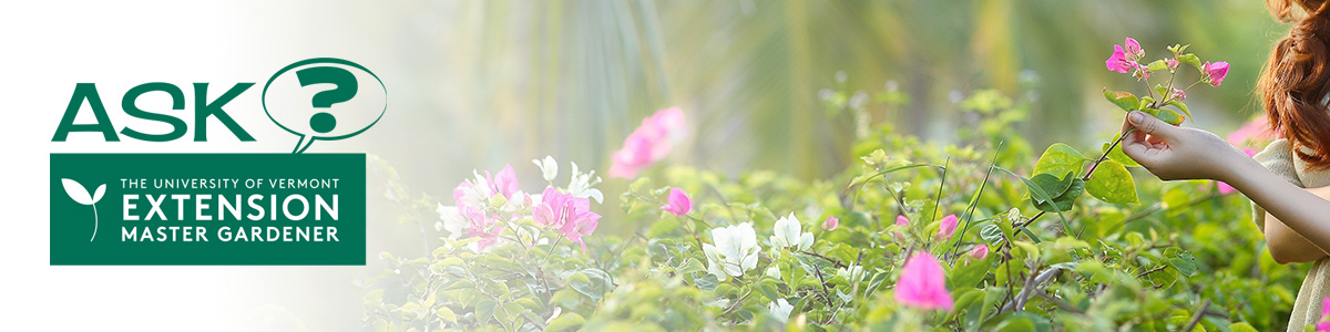 Ask an Extension Master Gardener