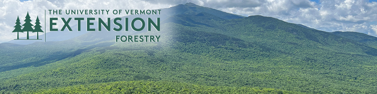 UVM Extension Forestry Program