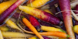 Rainbow Carrots