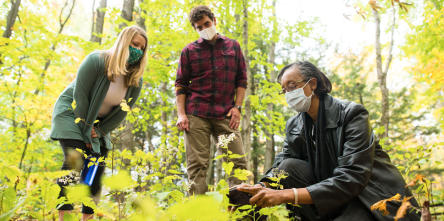 three people in the woods wearing masks looking at a plant