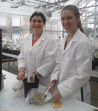 Two students in the greenhouse saving seeds for future projects. 