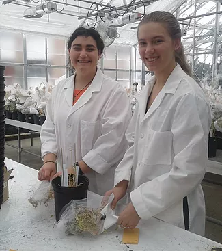 Two students in the greenhouse saving seeds for future projects.