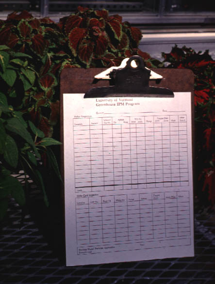 Forms for recording the numbers of insects attached to the sticky cards.