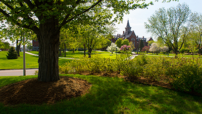 Spring Campus