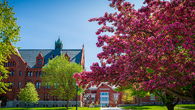 Spring Campus Pink Tree Blossoms