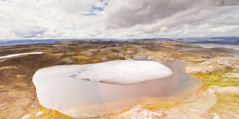 UVM scientists were stunned to discover plants below the depths of Greenland’s ice UVM Today