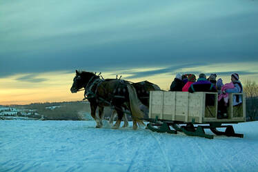 horses pulling a sleigh full of people through the snow