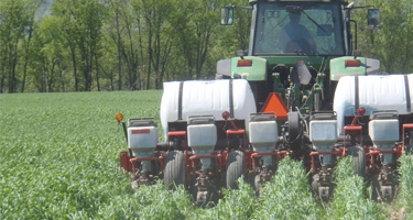 tractor in a field