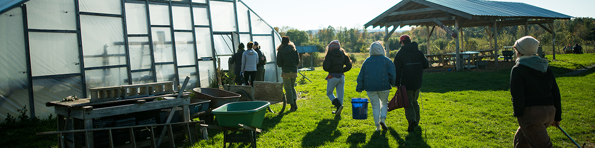 Students walking into a greenhouse on a sunny day