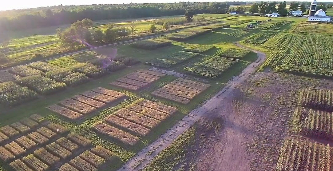 Borderview Research Farm