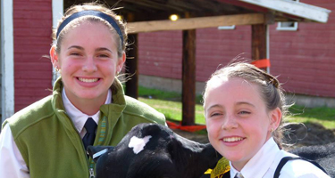 Two smiling girls with cow
