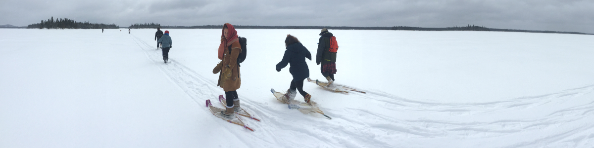 Cree Country