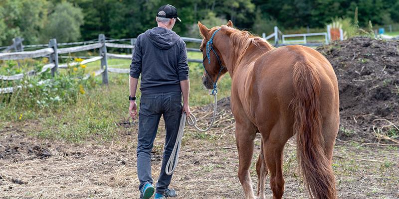 Editor Tom Weaver walks with horse
