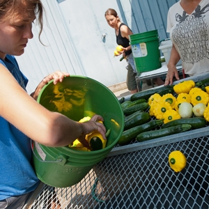 Farmer training