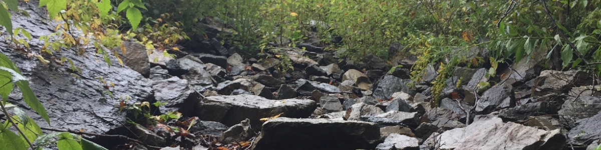 stabilizing an on-farm gully to prevent erosion