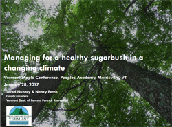 Managing sugarbush thumb