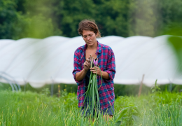 farmer apprentice yielding crops in field