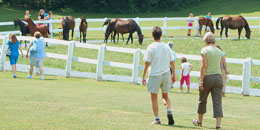 Visitors at Morgan Horse Farm