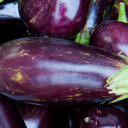 eggplant