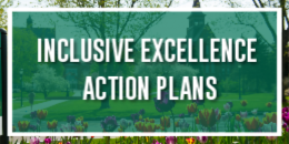 Inclusive Excellence Action Plans