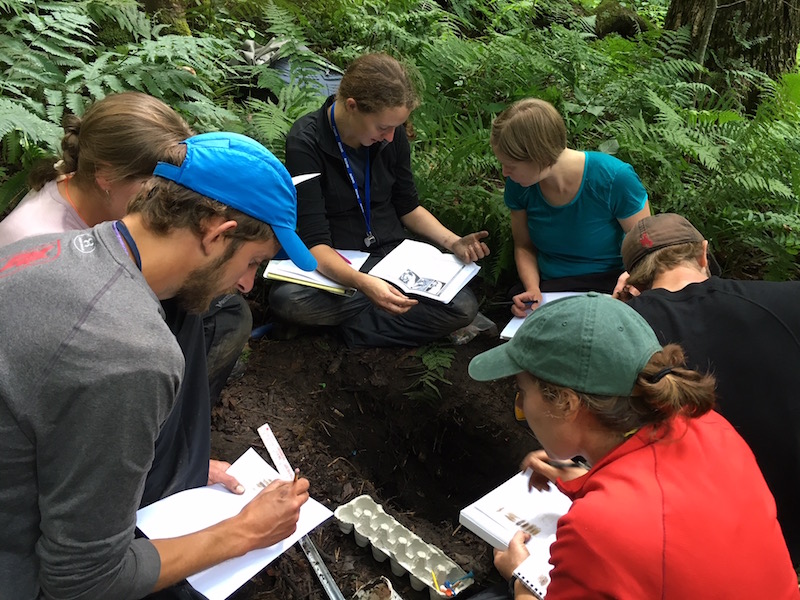 students sitting on the ground among ferns