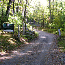 Jericho Research Forest sign