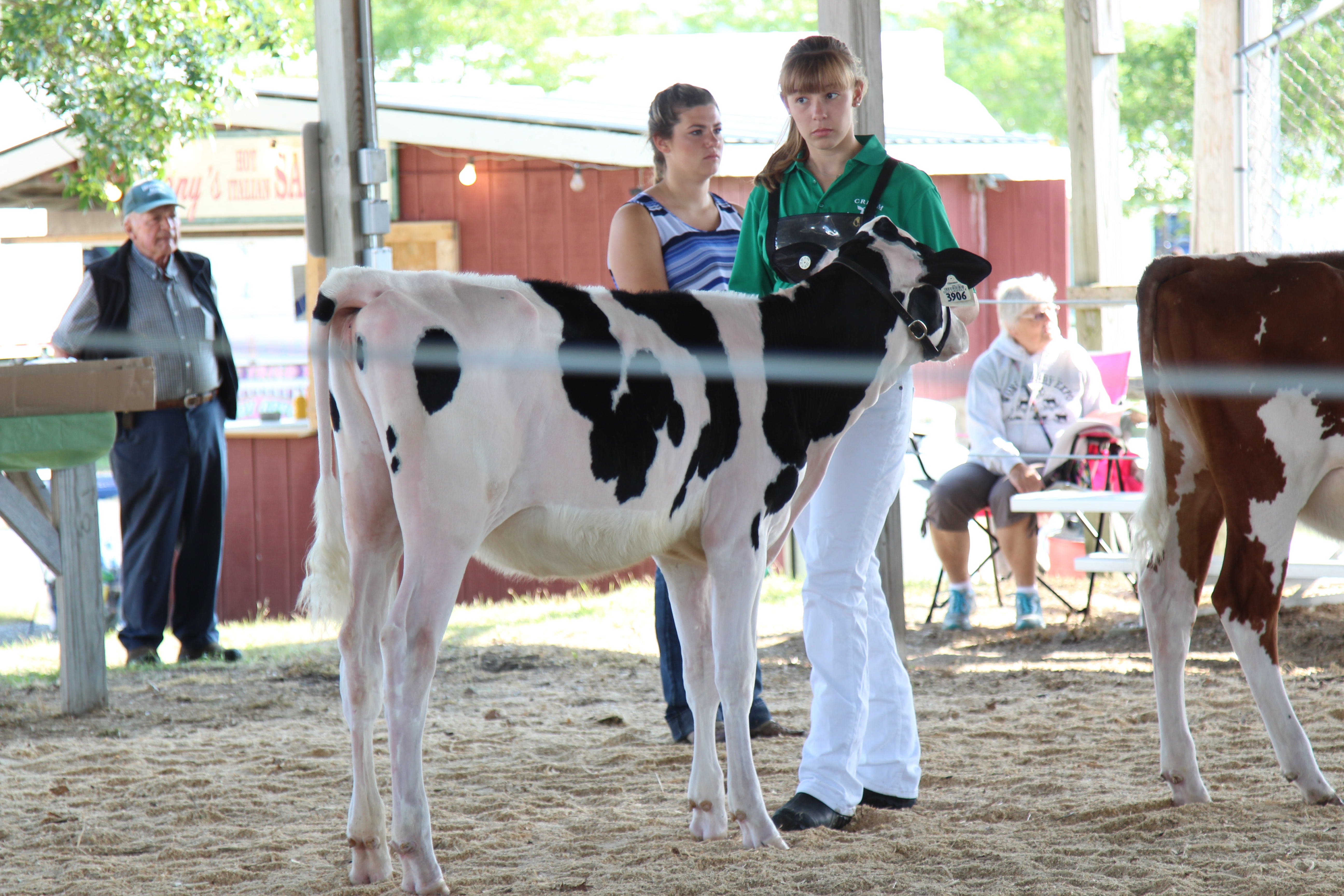 Leslie Rivers and Saffron in show ring