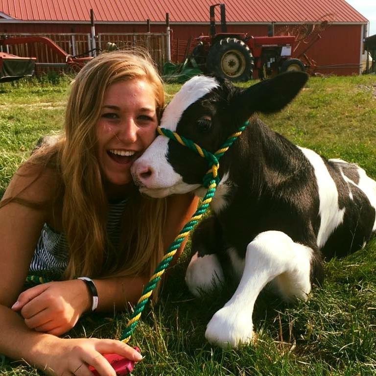 Student and calf laying in the grass enjoying the sun