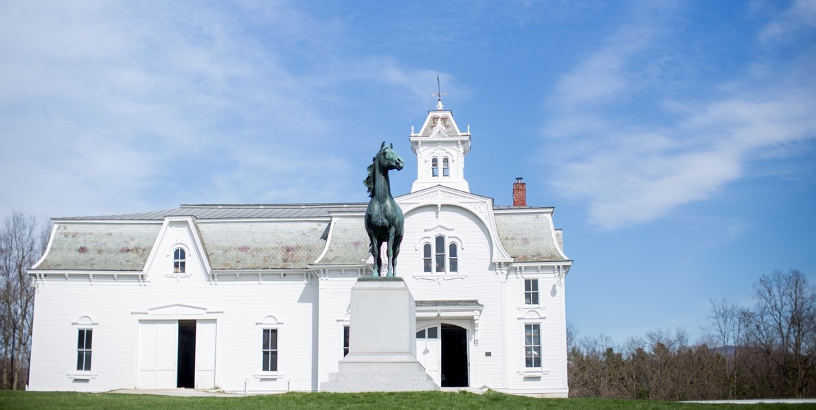 UVM Morgan Horse Farm