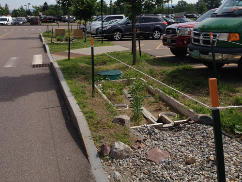 Plants in a squared pit, and hardscape materials used in bioretention cell