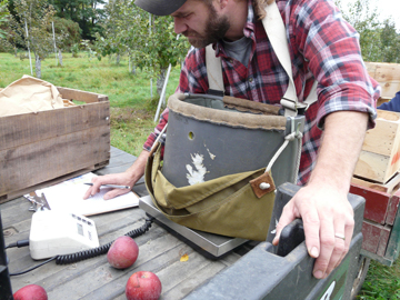 UVM Catamount Farm Apple Orchard Research