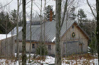 sugarhouse through the trees in winter