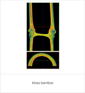 imaging examples from X-ray Micro-CT