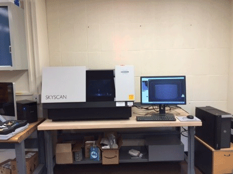 X-ray Micro-CT animated gif