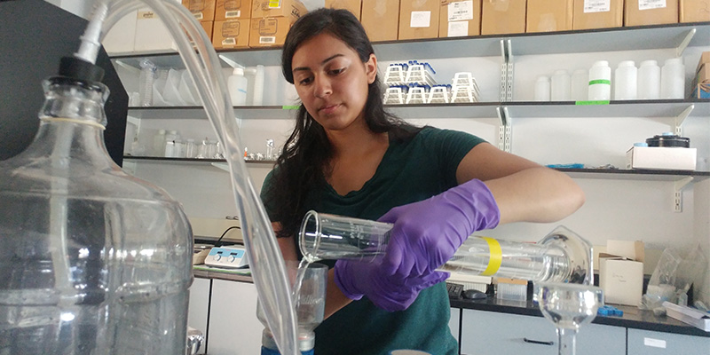 Nisha pours liquid from a graduated cylinder in a lab