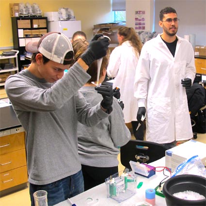 students in research lab