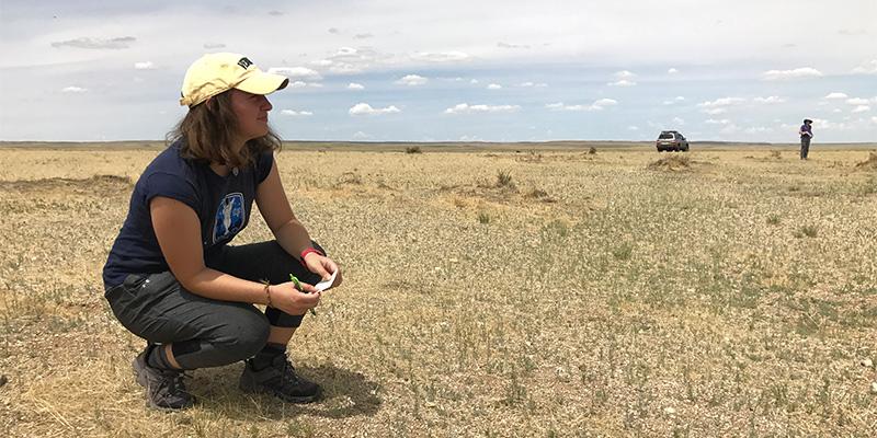 Reilly in vast Mongolian grassland
