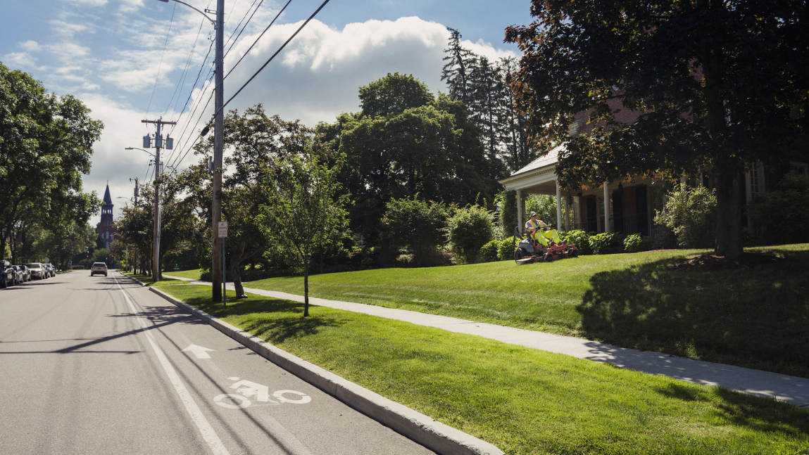 Bike lane on street