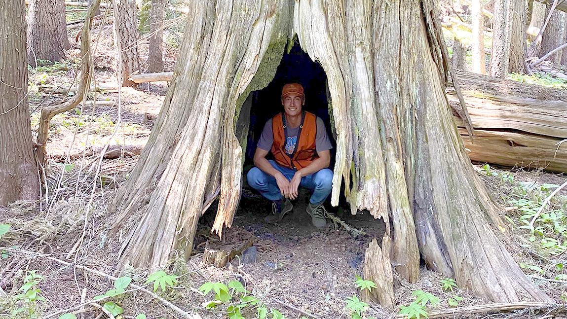Student intern in orange vest sits inside hollowed out western red cedar tree in Idaho forest.