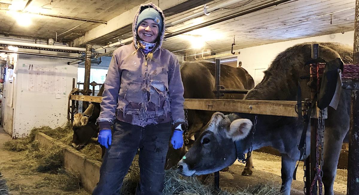 image description: woman with a purple coat, standing in barn with cows and smiling towards camera