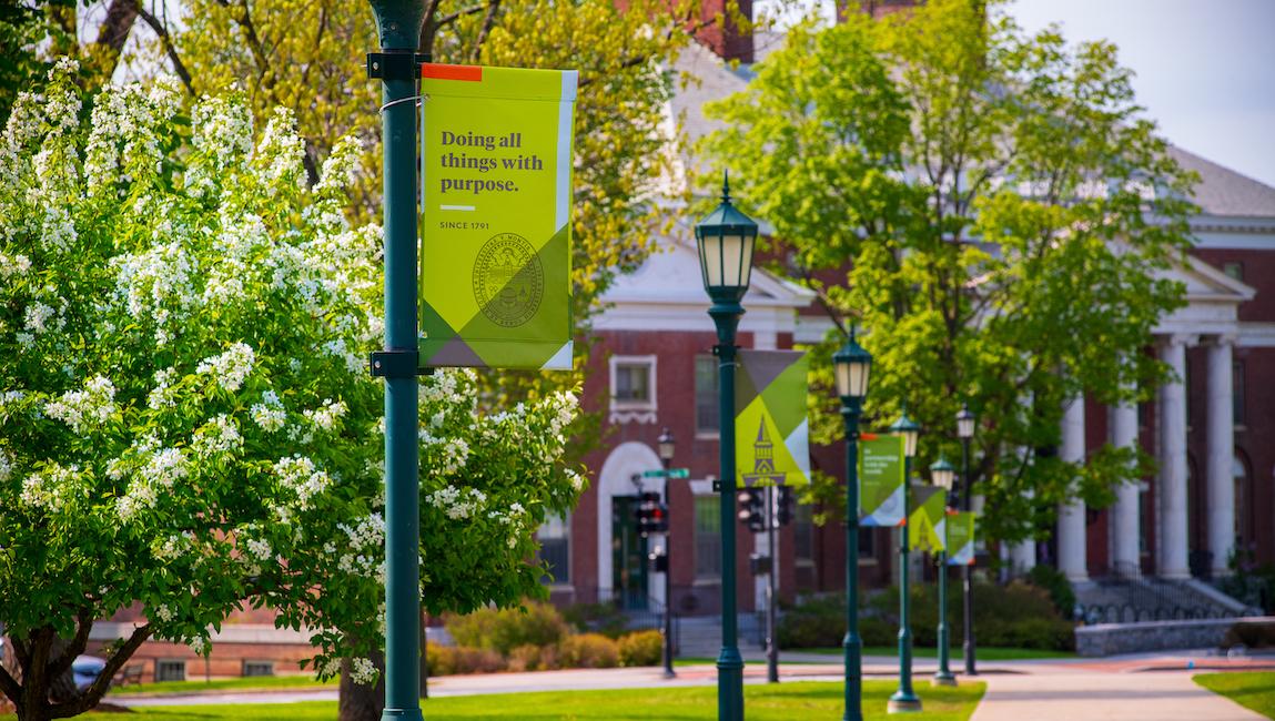 View in campus in Spring, green trees