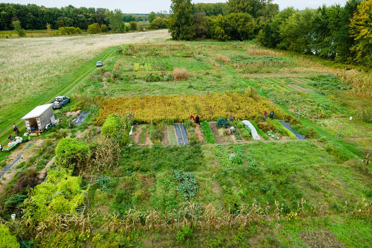 An aerial view of a farm.