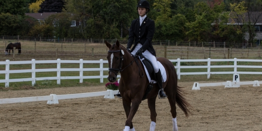 Student riding her horse in the ring