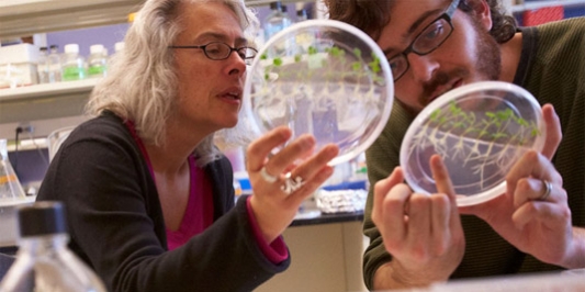 Faculty works with a student  in a research lab