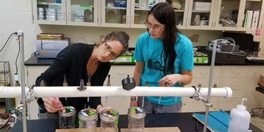 Student works with faculty in lab