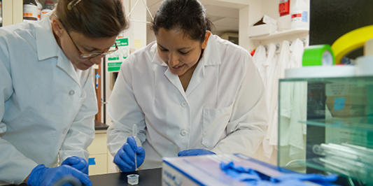 A CEE professor and graduate student in the lab preparing a sample for analysis