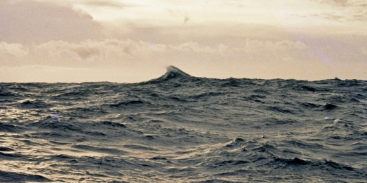 Rogue Wave