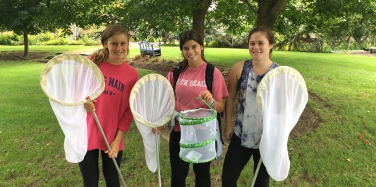 Undergraduate researchers geared for insect collection
