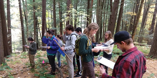 A group of students use tree height measuring tools in a conifer forest.